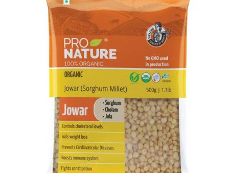 Pro Nature Organic Jowar Flour Online Hot Sale