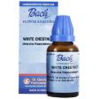 St. George s Bach Flower Remedies White Chestnut For Discount