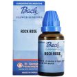 St. George s Bach Flower Remedies Rock Rose Online now