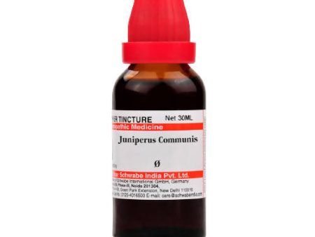 Dr. Willmar Schwabe India Juniperus Communis Mother Tincture Q Online Hot Sale