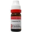 Dr. Reckeweg Cajuputum Dilution Fashion