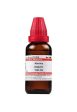 Dr. Willmar Schwabe India Abroma Augusta Dilution Online