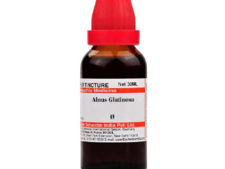 Dr. Willmar Schwabe India Alnus Glutinosa Mother Tincture Q Online