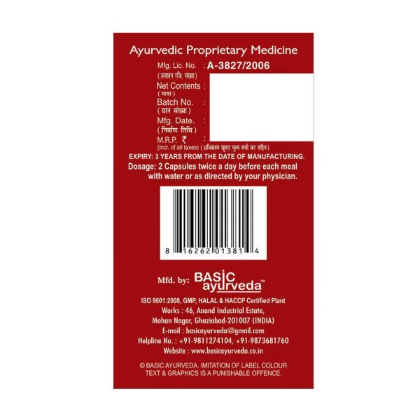 Basic Ayurveda ACV (Apple Cider Vinegar) Capsules Hot on Sale