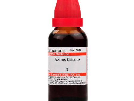 Dr. Willmar Schwabe India Acorus Calamus Mother Tincture Q Discount