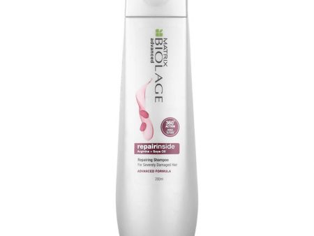 Matrix Biolage Advanced Repairinside Hair Shampoo Discount