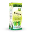 Basic Ayurveda Grass Meal Wheat Grass Juice Online Hot Sale