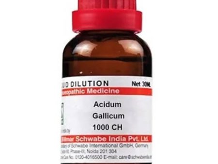 Dr. Willmar Schwabe India Acidum Gallicum Dilution Supply