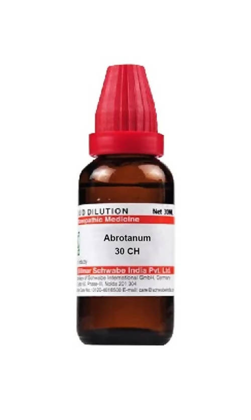 Dr. Willmar Schwabe India Abrotanum Dilution For Sale