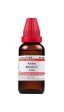 Dr. Willmar Schwabe India Acidum Benzoicum Dilution Hot on Sale