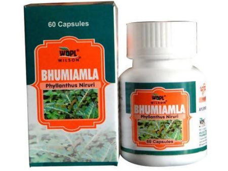 Wilson Bhumiamla Phyllanthus Niruri Capsules For Sale