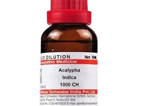 Dr. Willmar Schwabe India Acalypha Indica Dilution Online