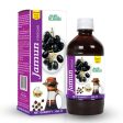 Basic Ayurveda Jamun Vinegar Online Hot Sale