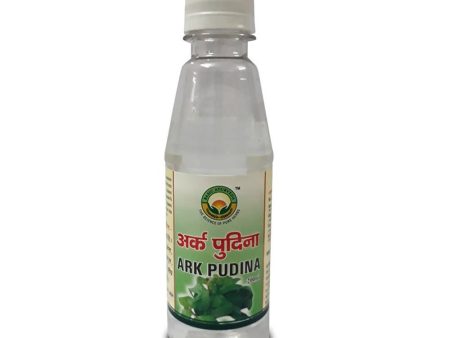 Basic Ayurveda Ark Pudina Discount