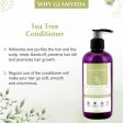 Glamveda Anti Dandruff & Healthy Hydration Tea Tree Conditioner Fashion