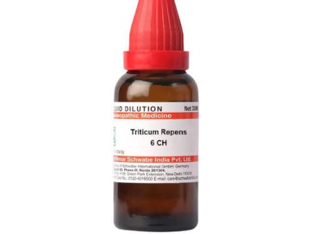 Dr. Willmar Schwabe India Triticum Repens Dilution Online